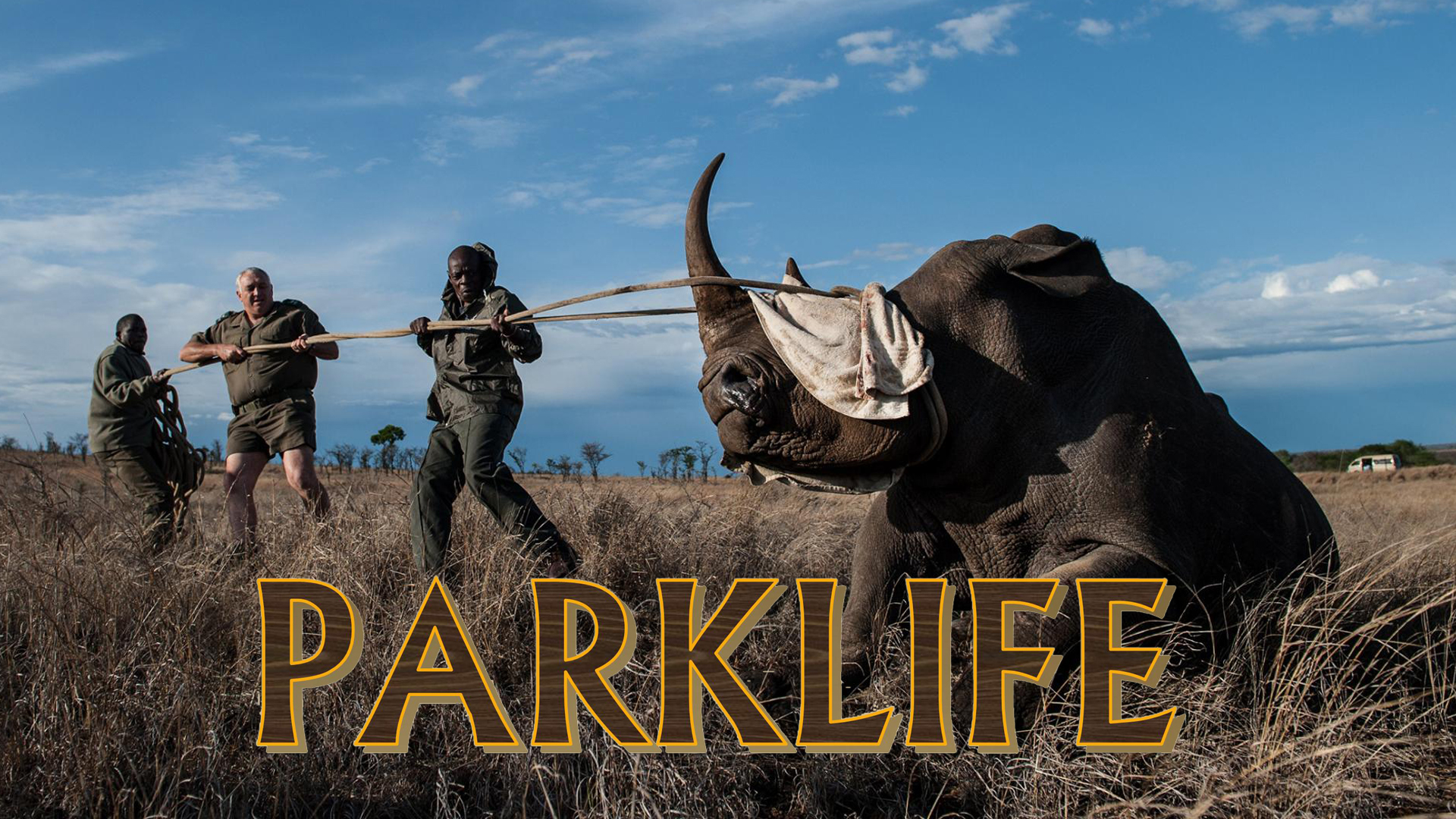 PL01 - Wild Animal Capture Course