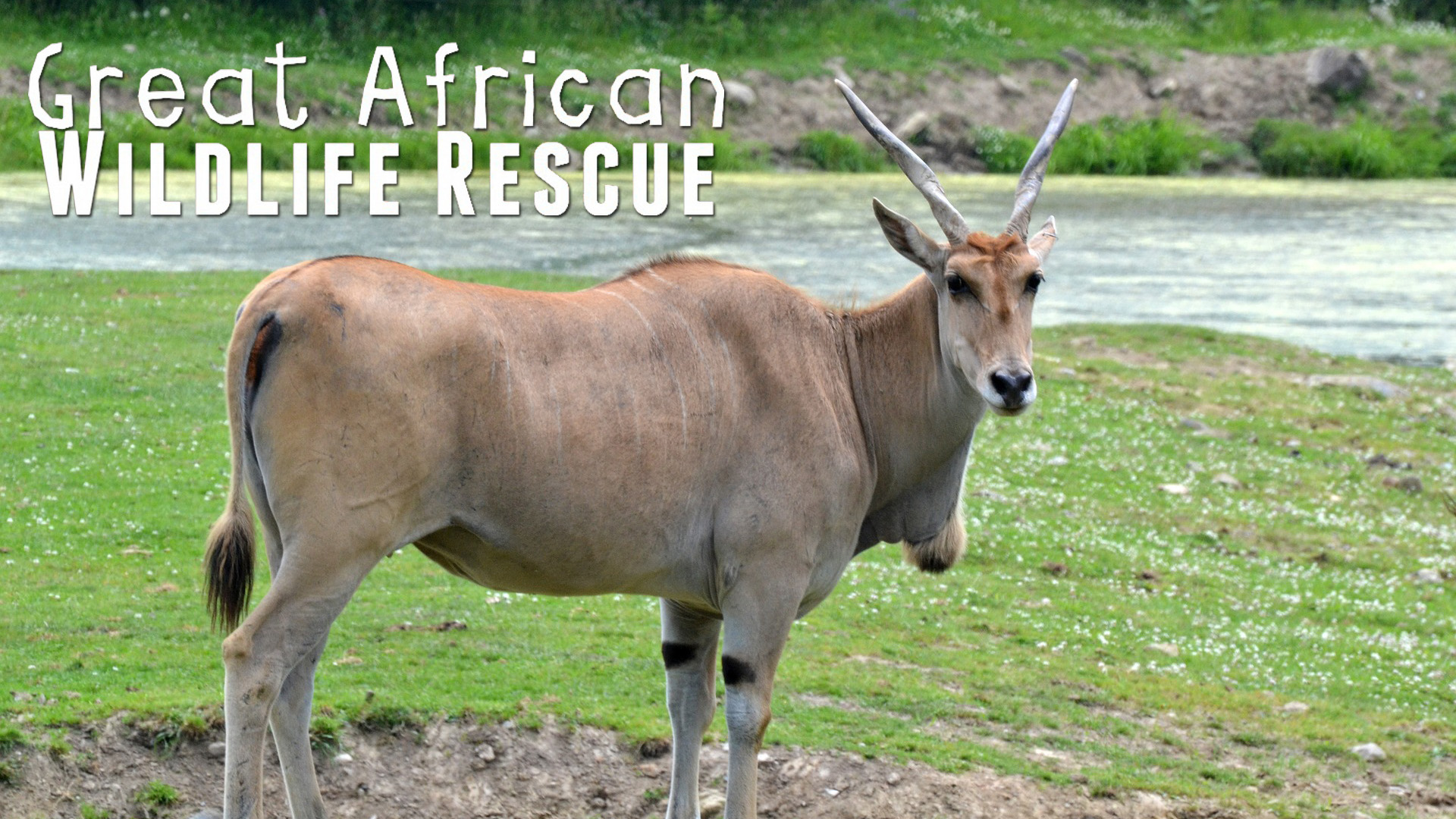 GAWR10 - Too Close For Comfort