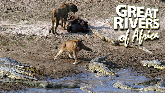 GROA03 - Luangwa river of extremes.