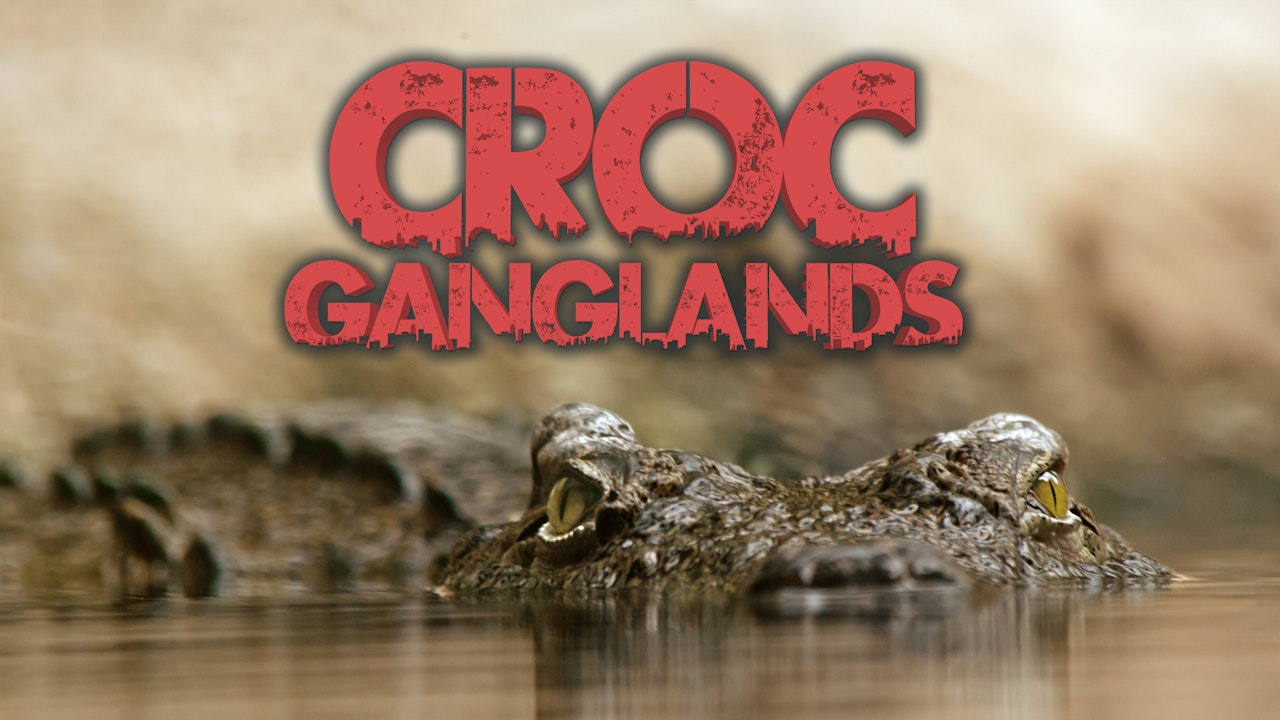 Croc Ganglands