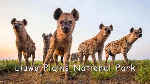 WZ08 - Liuwa Plains National Park