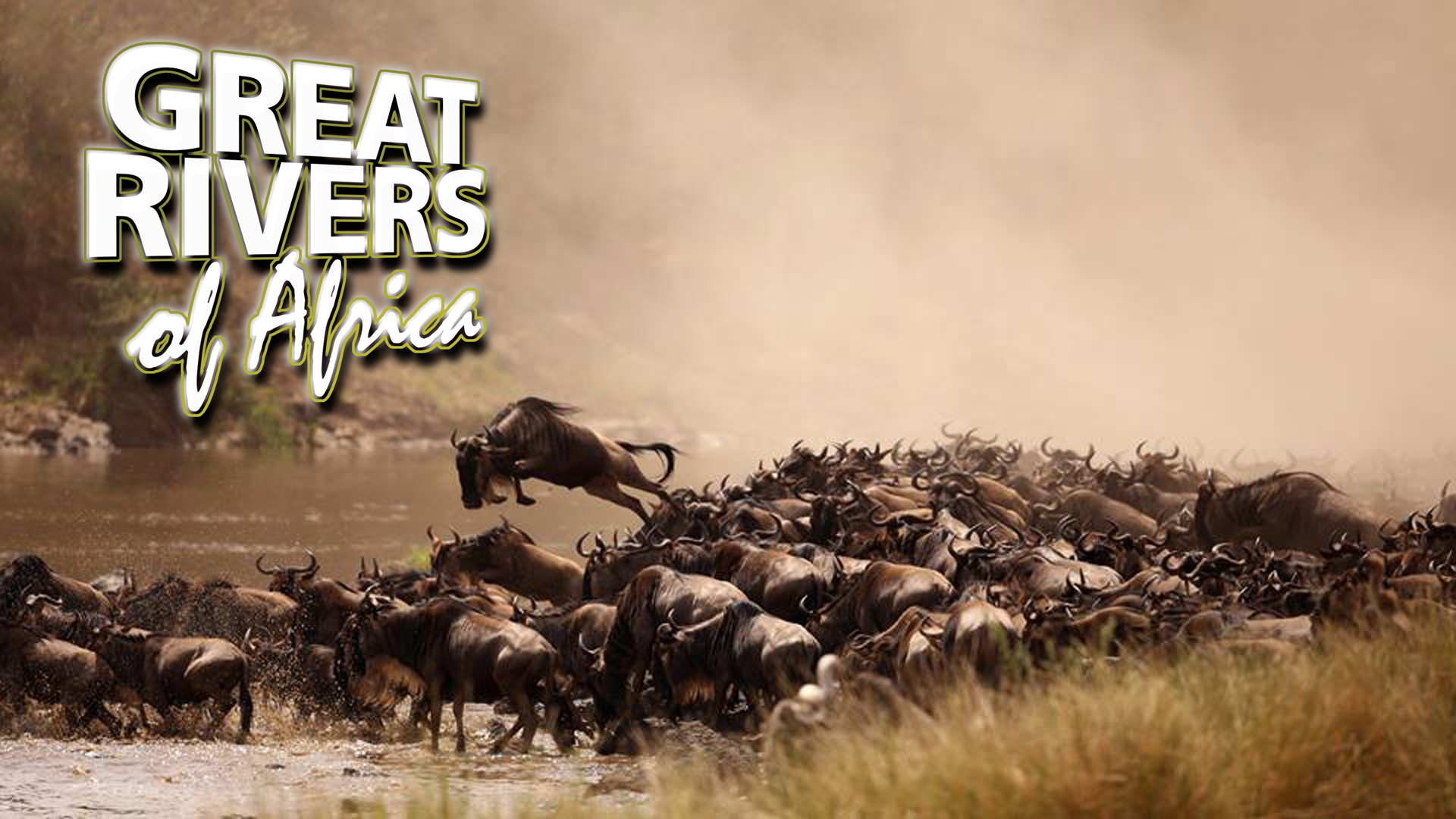 GROA05 - Mara river of strife