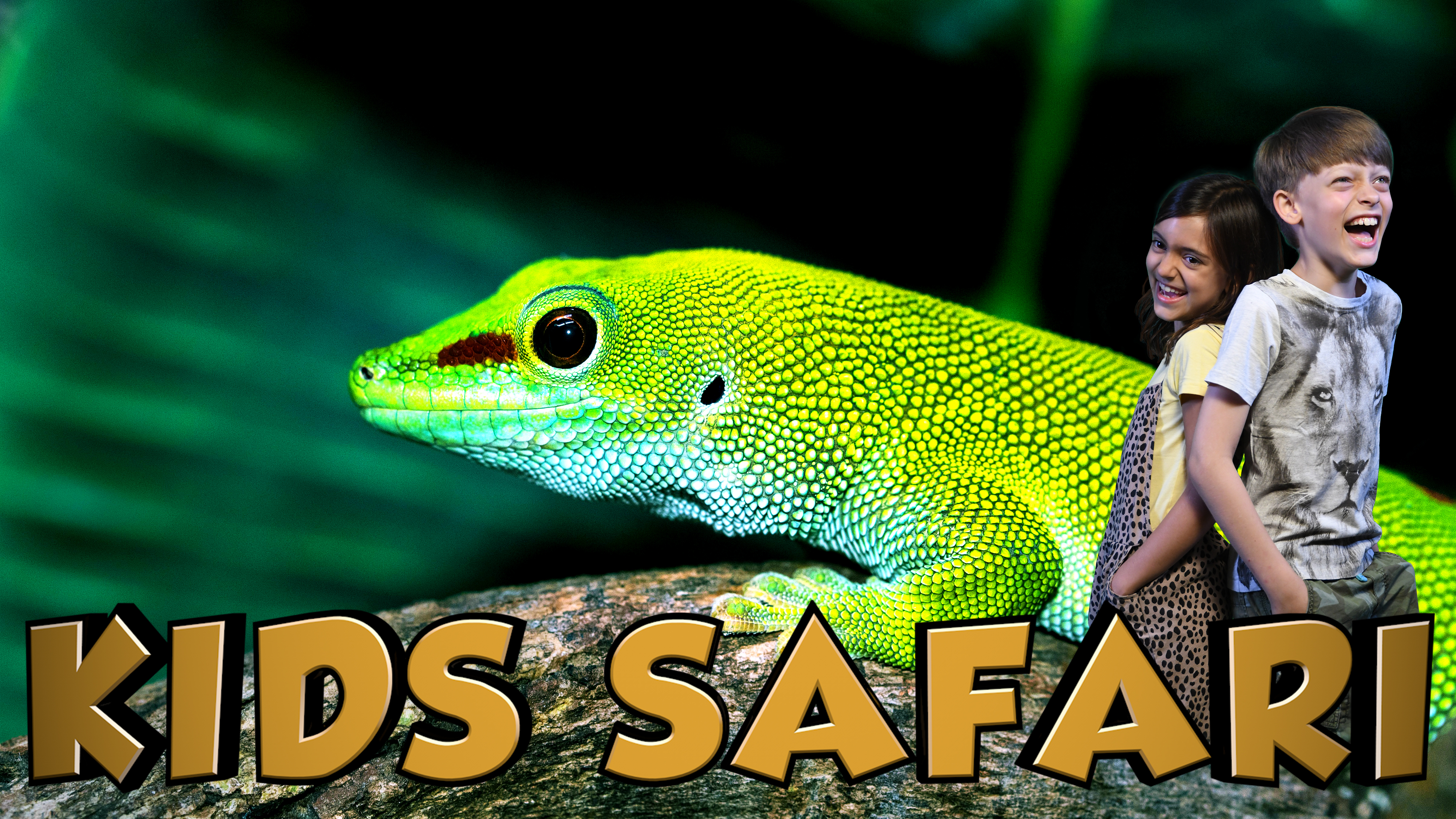 KIDS SAFARI MADAGASCAR - GECKOS