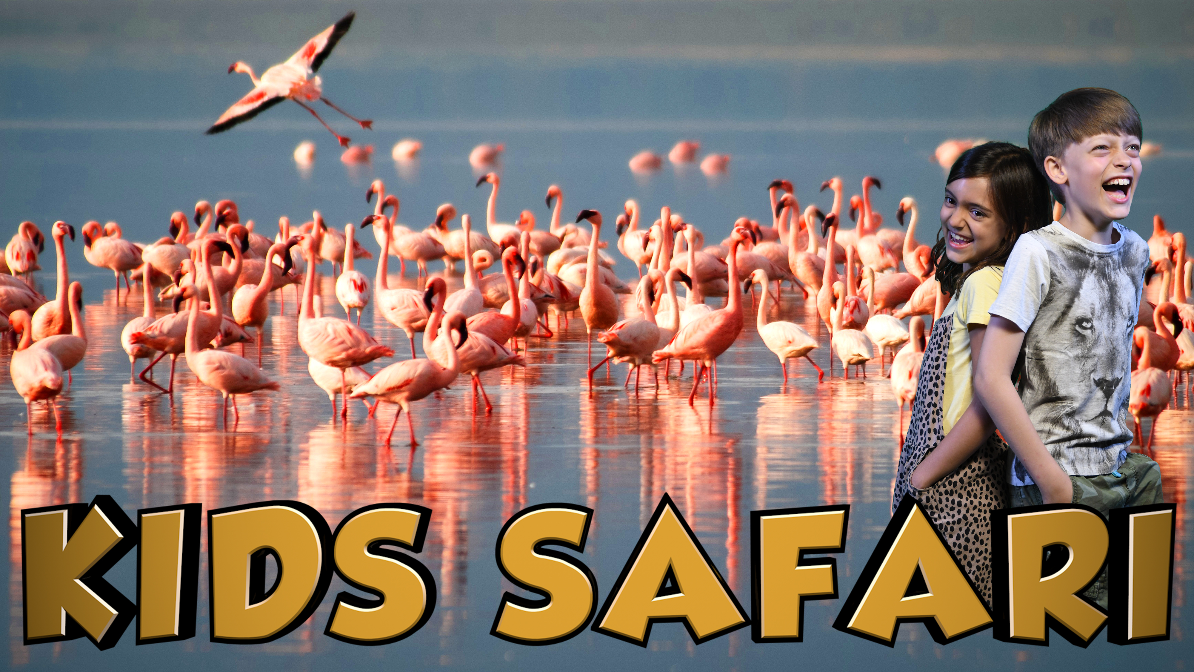 SA KIDS SAFARI -  THE FLAMINGOS