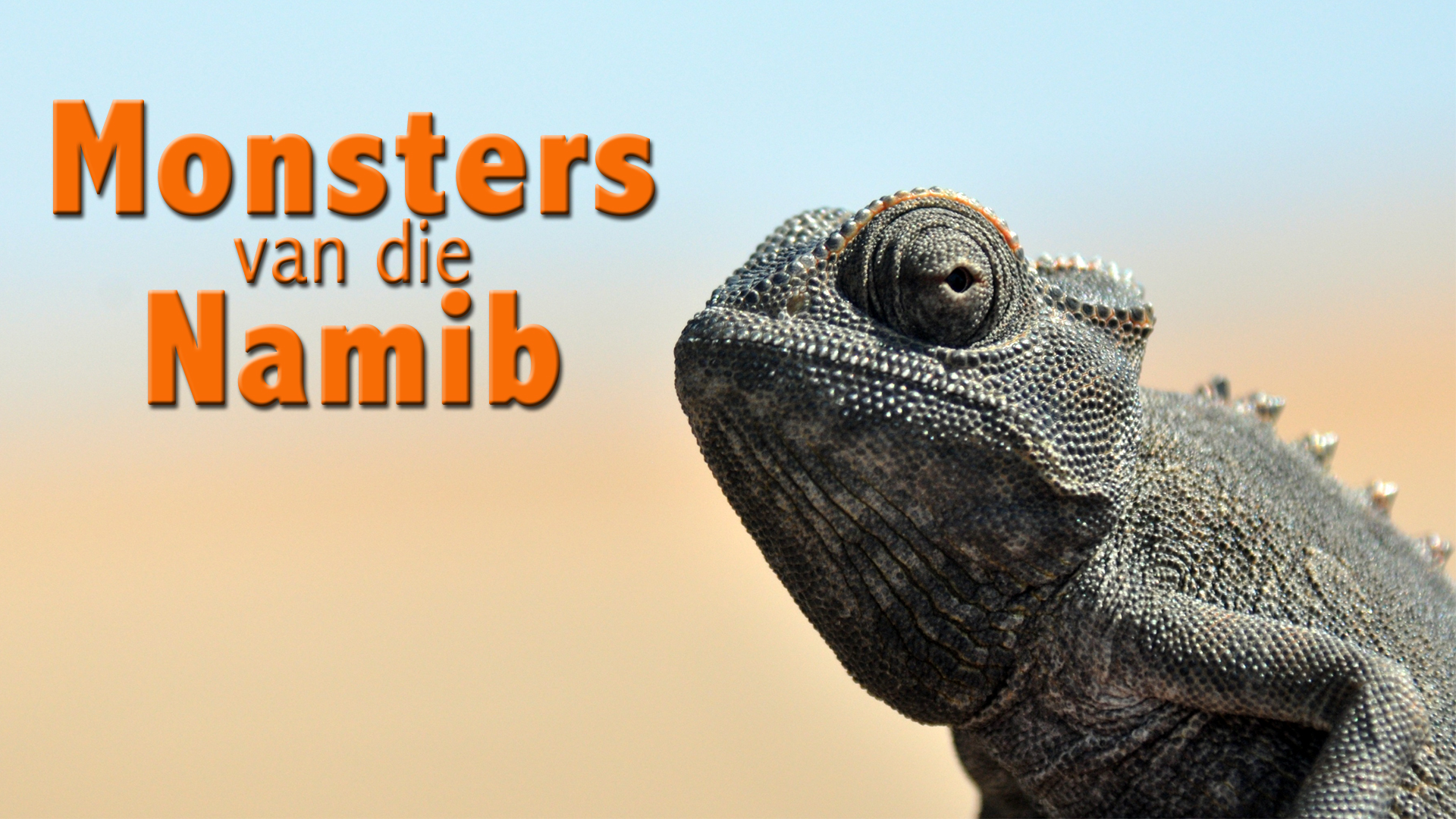 Monsters van die Namib