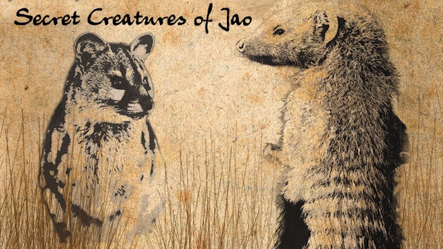 The Secret Creatures of Jao