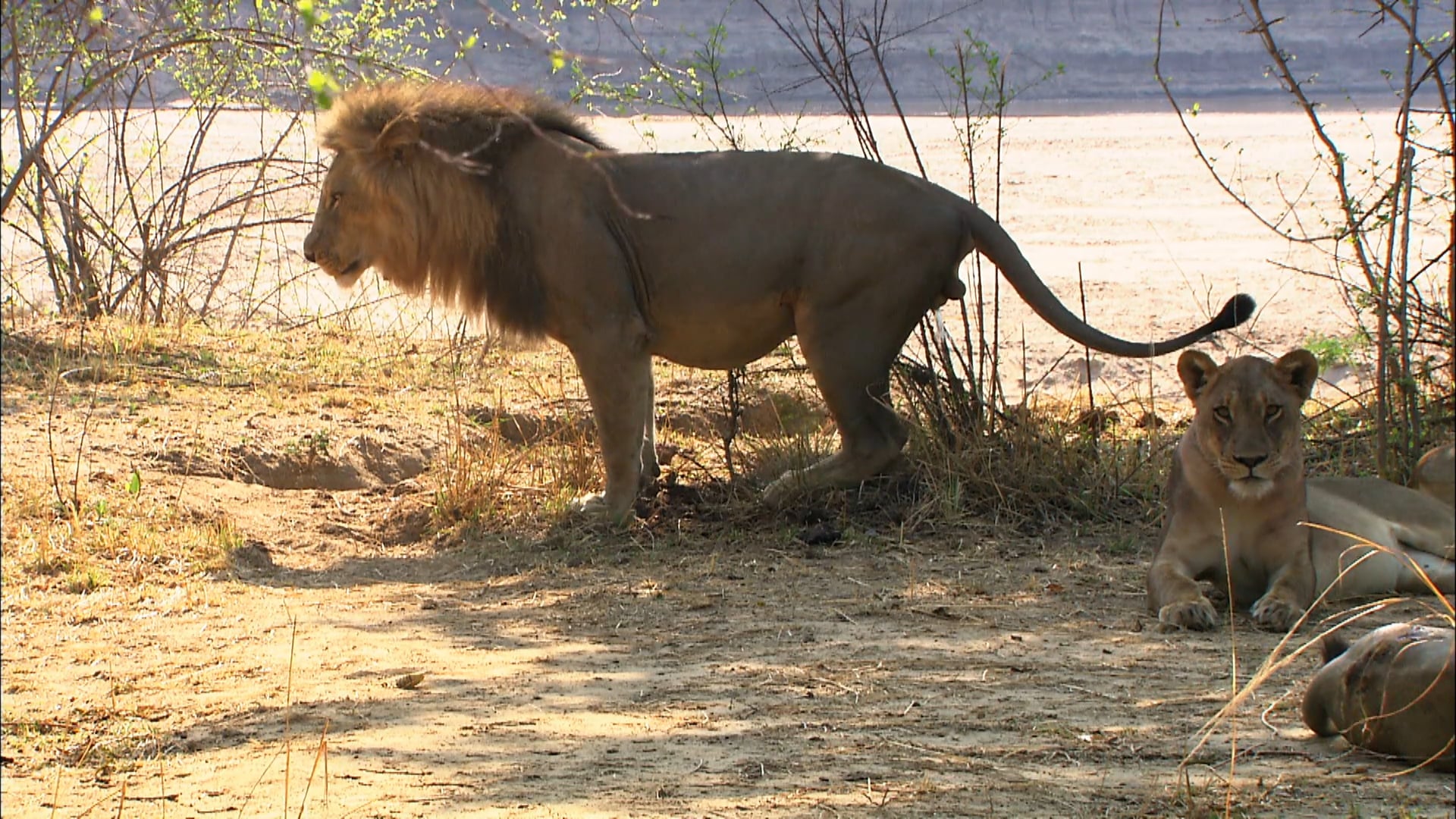 STAY OUT OF MY TERRITORY. 