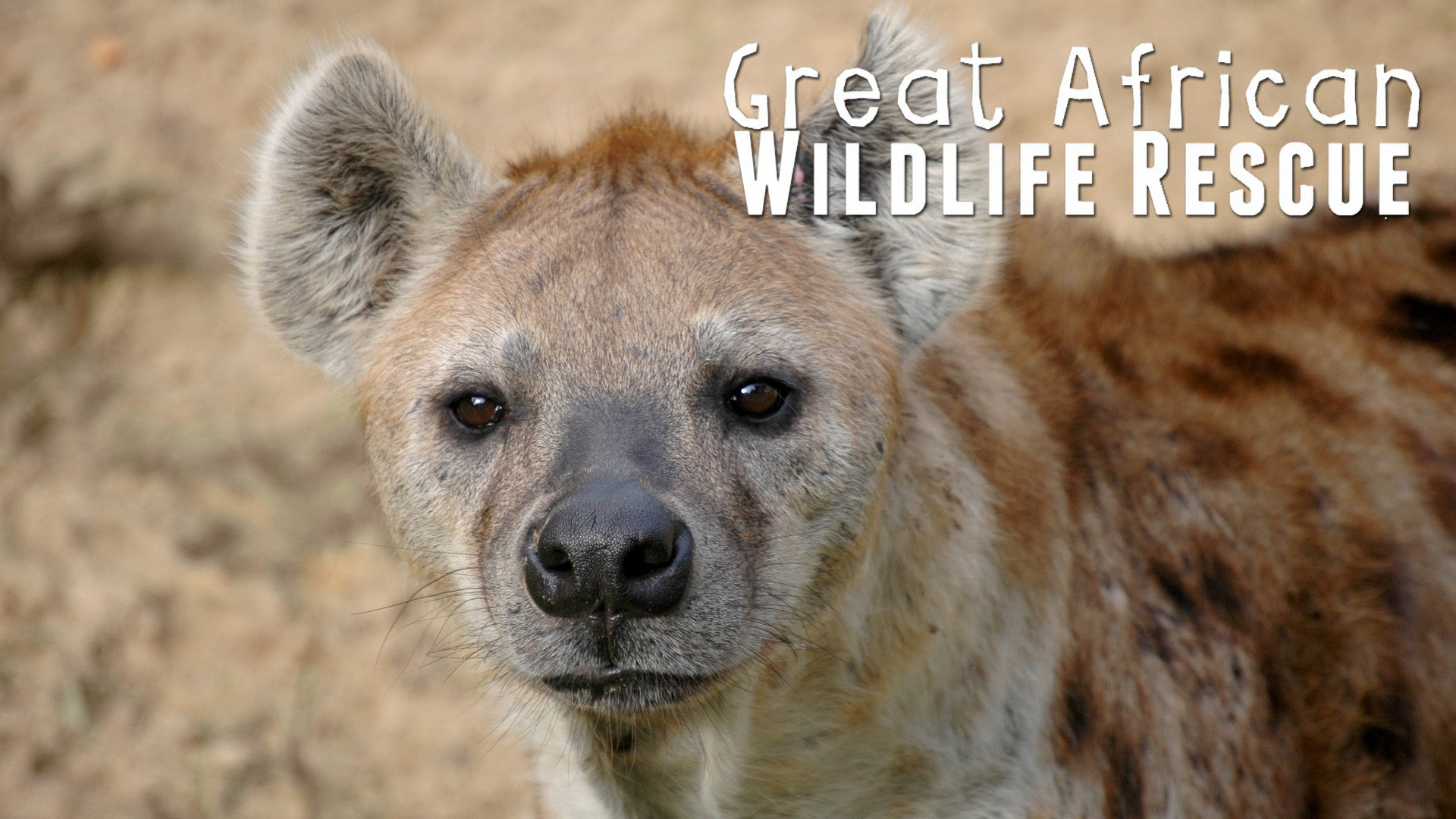 GAWR07 - Under the Cover of Darkness