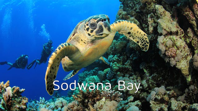 DA11 - Sodwana Bay