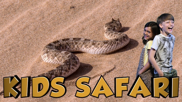 DESERT KIDS SAFARI - DUNE ANIMALS