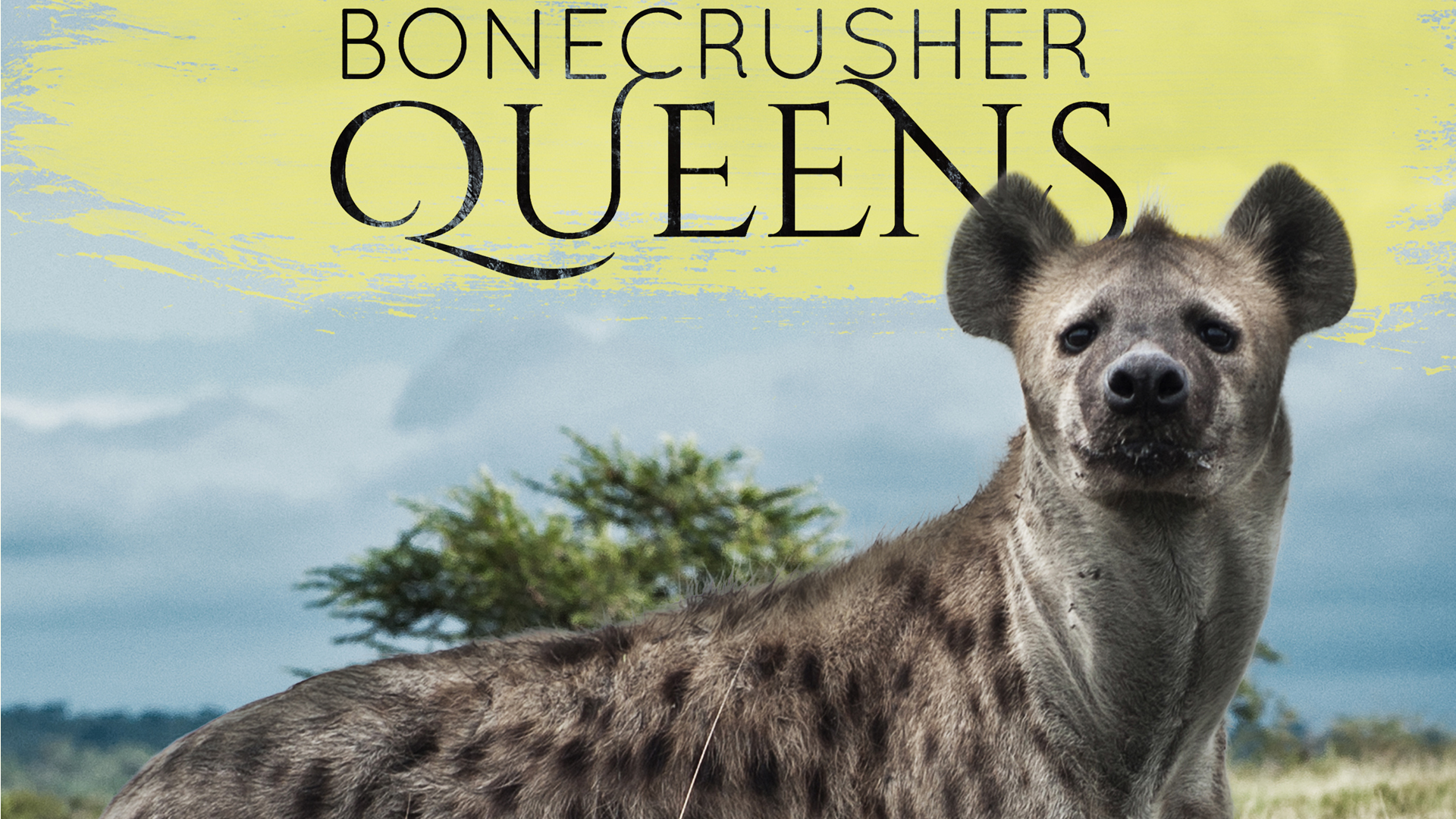 Bonecrusher Queens