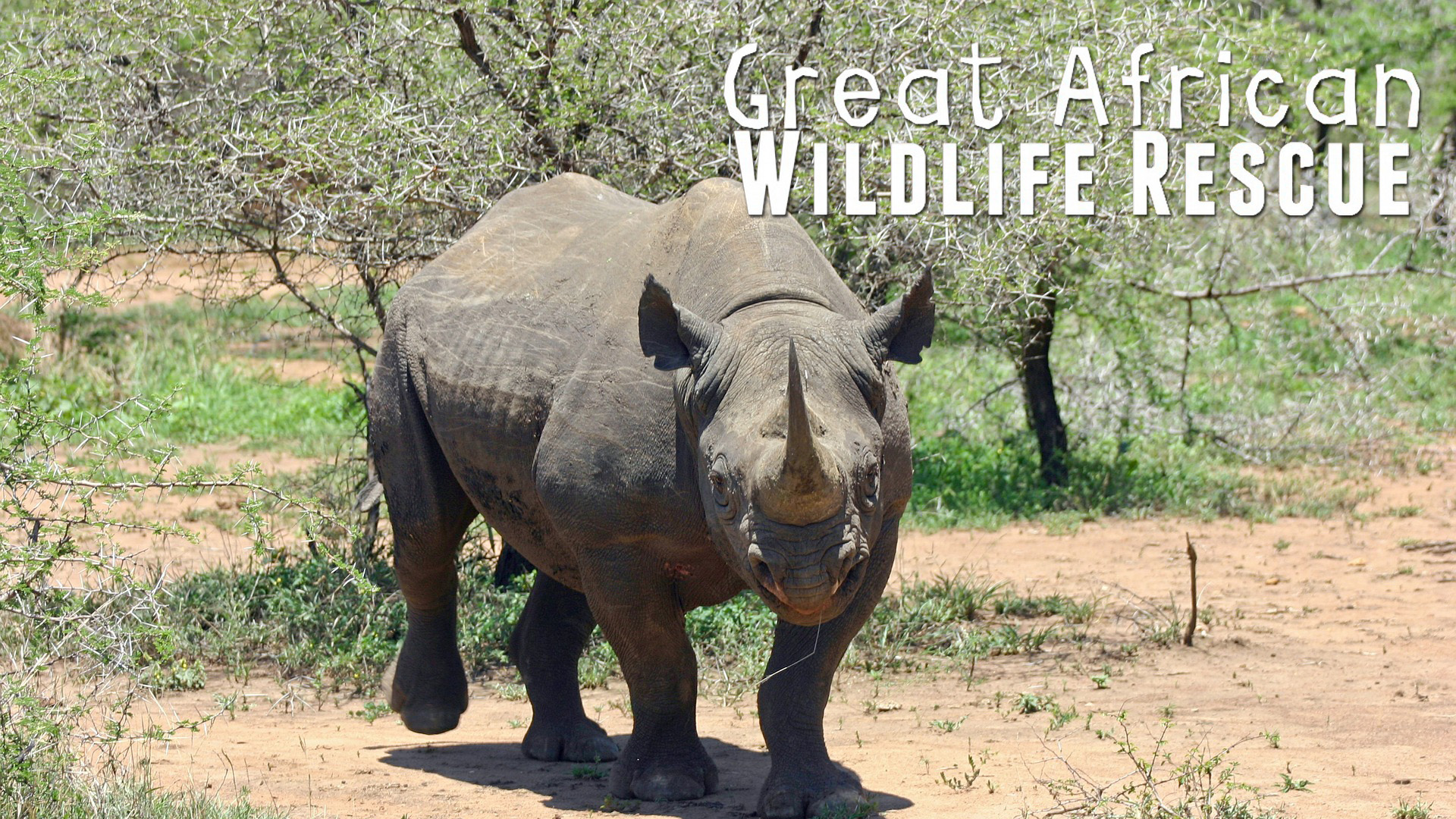 GAWR06 - Two Breaths, Then Nothing