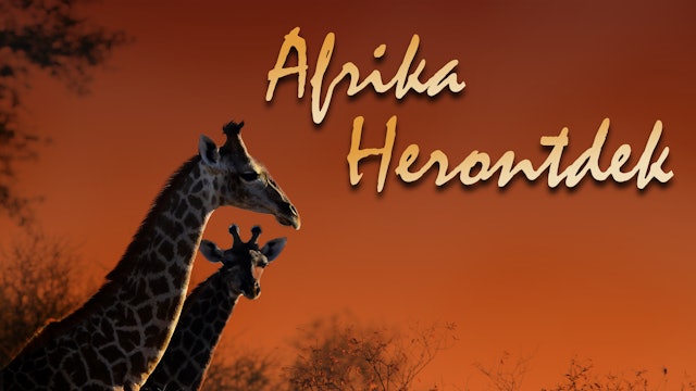 Afrika Herontdek