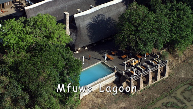 WZ07 - Mfuwe Lagoon