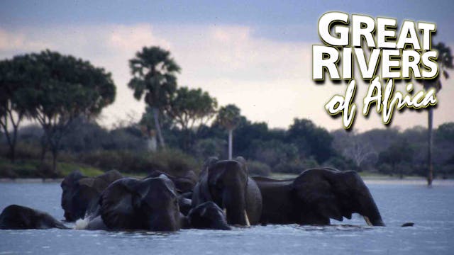 GROA10 - Rufiji the perennial river