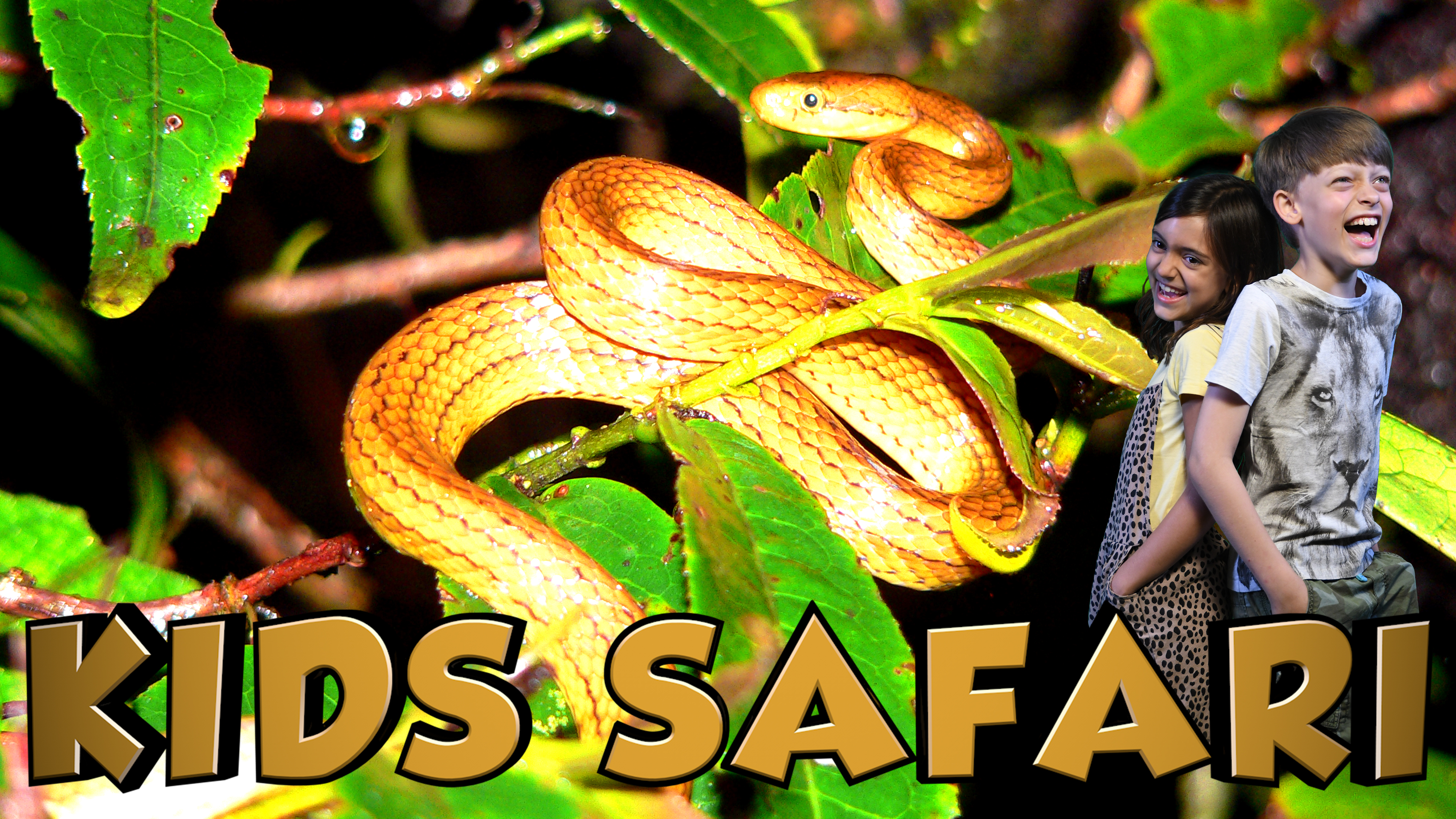 KIDS SAFARI MADAGASCAR - REPTILES & AMPHIBIANS