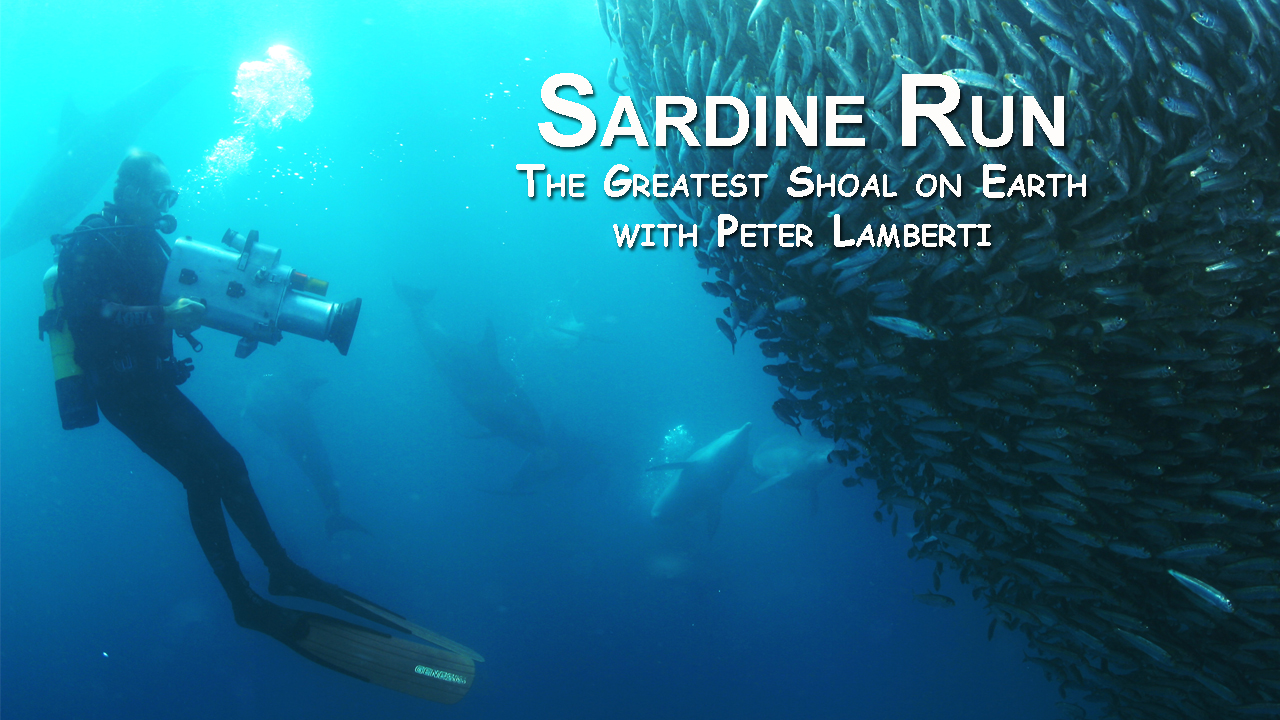 The Greatest Shoal Unearthed I