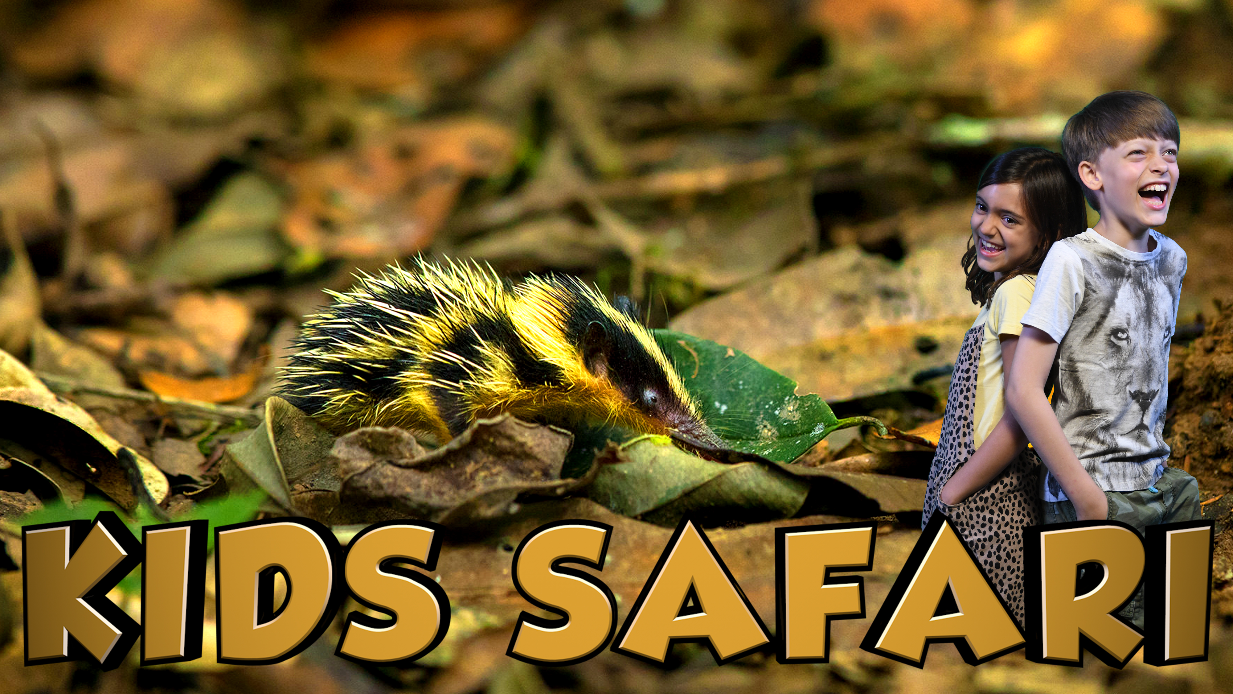 KIDS SAFARI MADAGASCAR -  NIGHT CREATURES