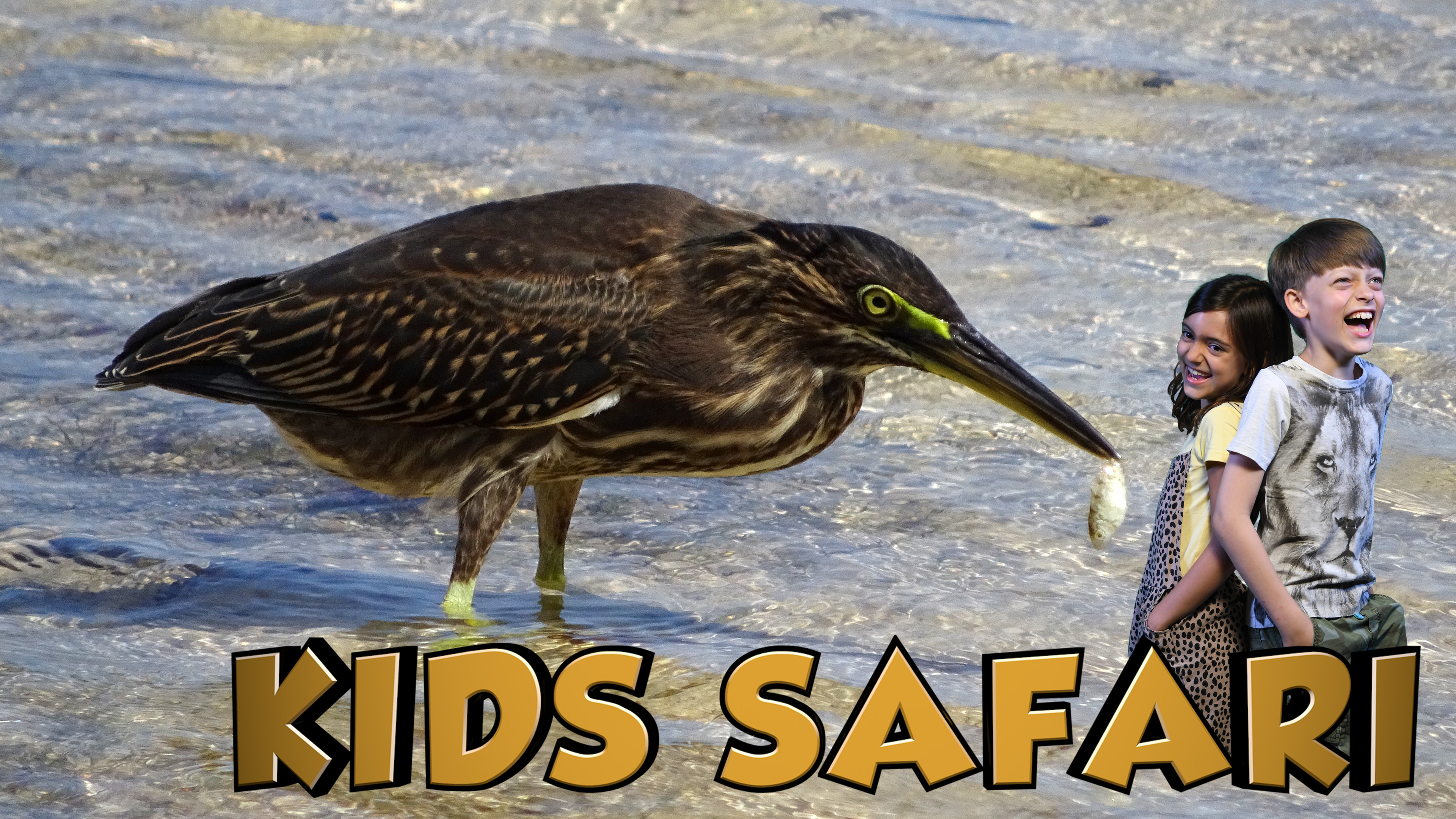 SEYCHELLES KIDS SAFARI - THE RIVER