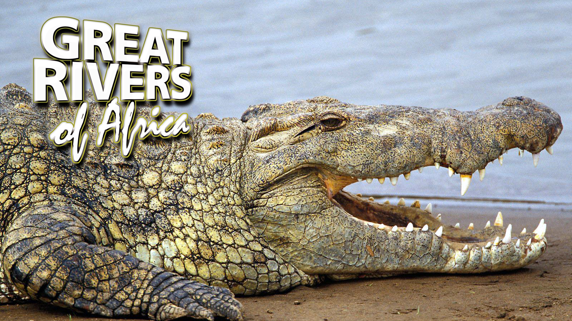 GROA06 - Victoria Nile river of beginnings