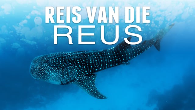 Reis Van 'n Reus