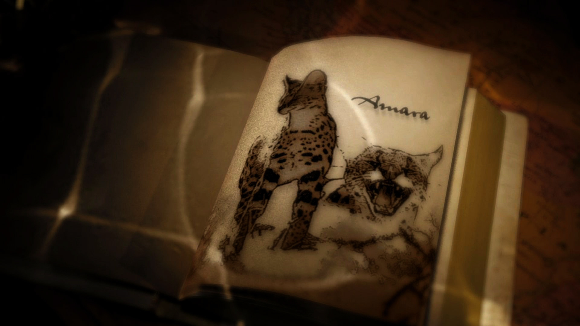 SCOJ4 - A Family Affair