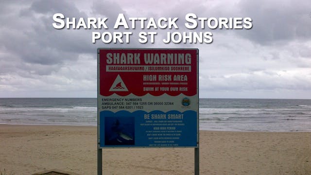 Shark Attack at Port St Johns.