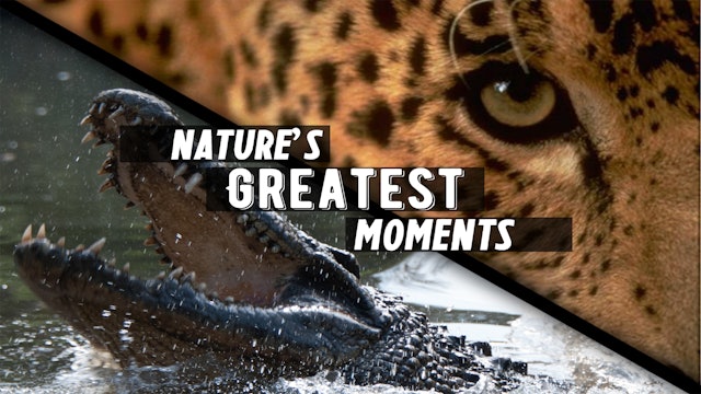 Nature's Greatest Moments
