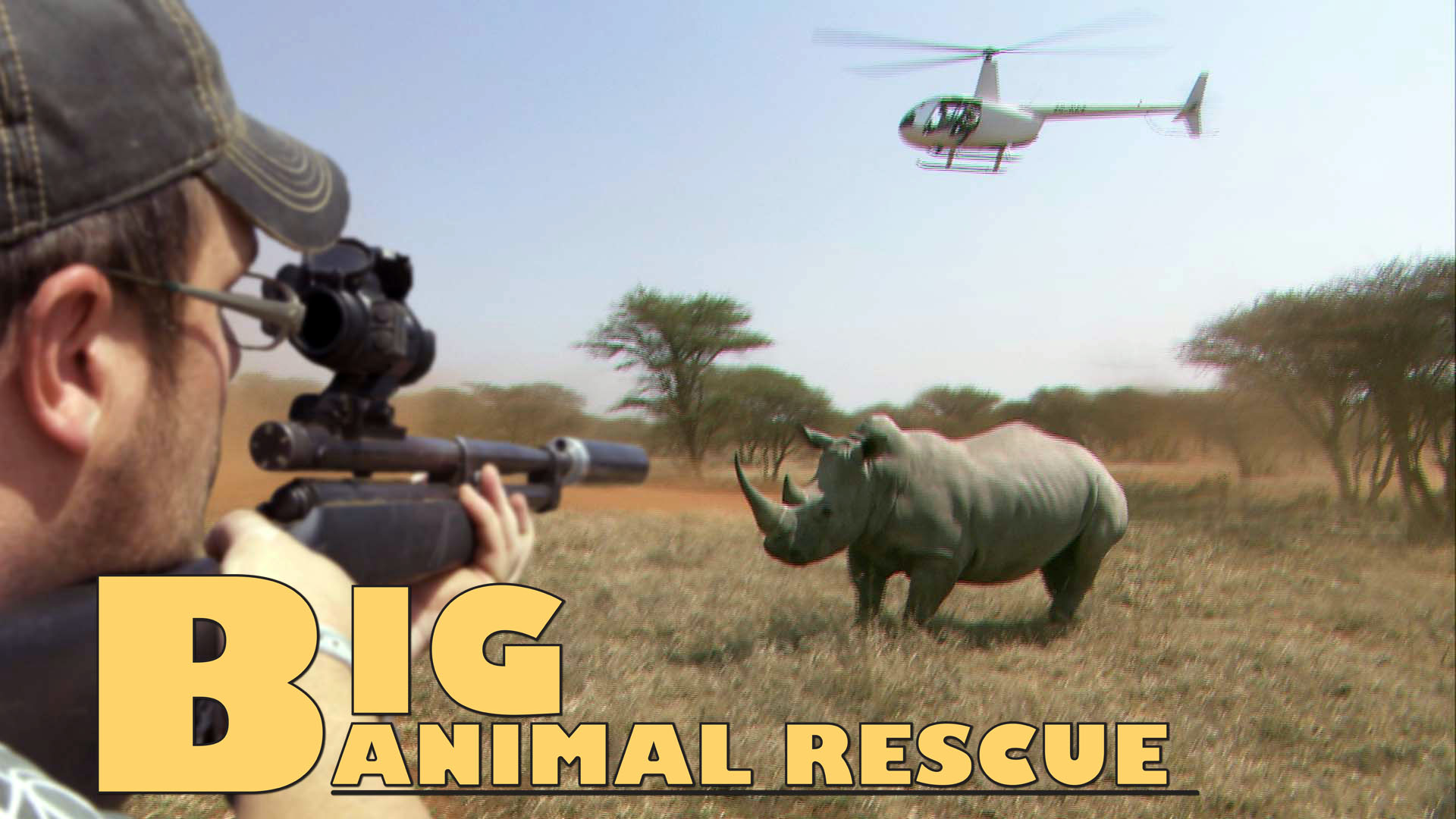 BAR05 - White Rhino Chipping