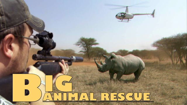 BAR05 - White Rhino Chipping