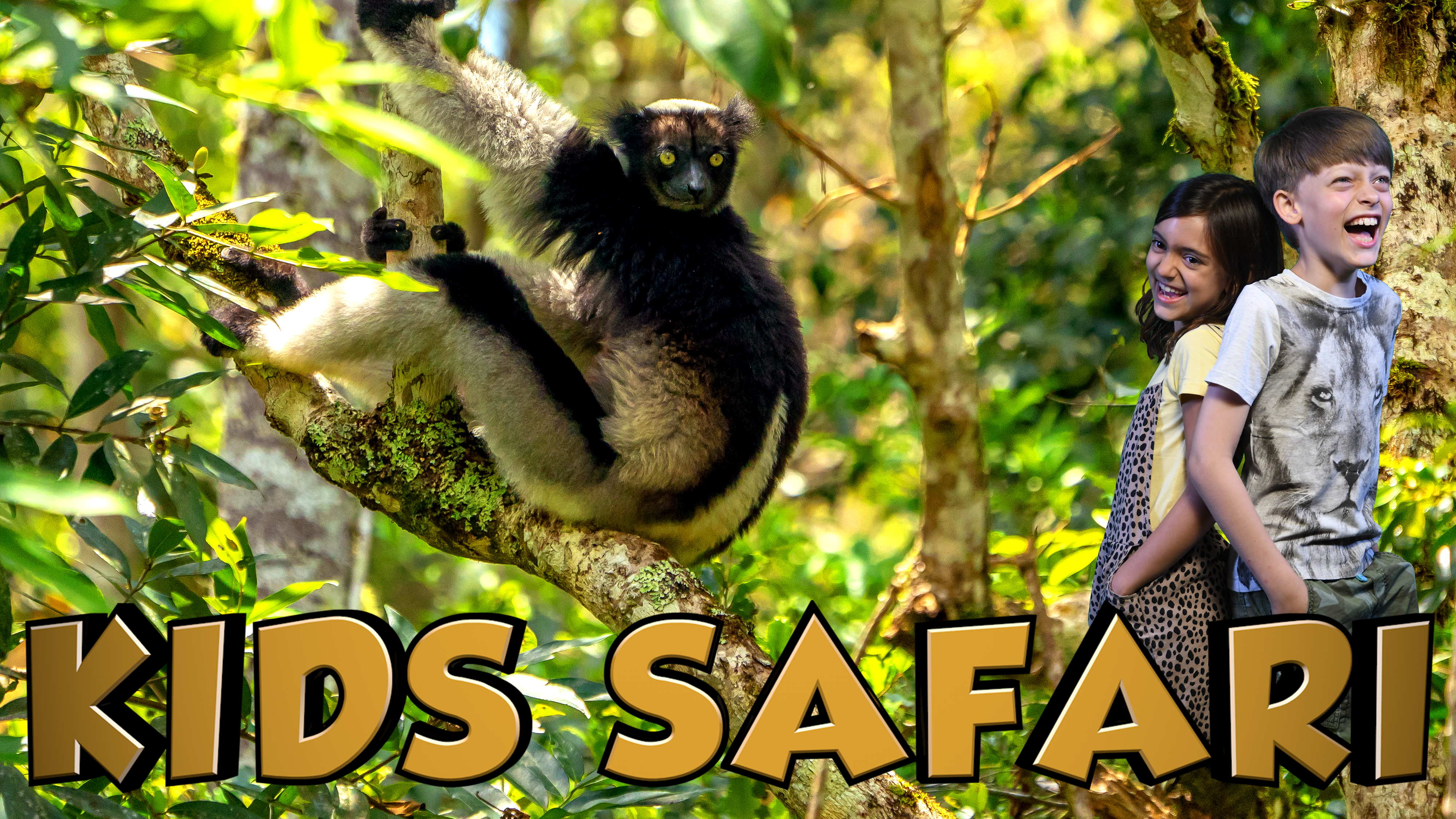 KIDS SAFARI MADAGASCAR - INDRI LEMURS