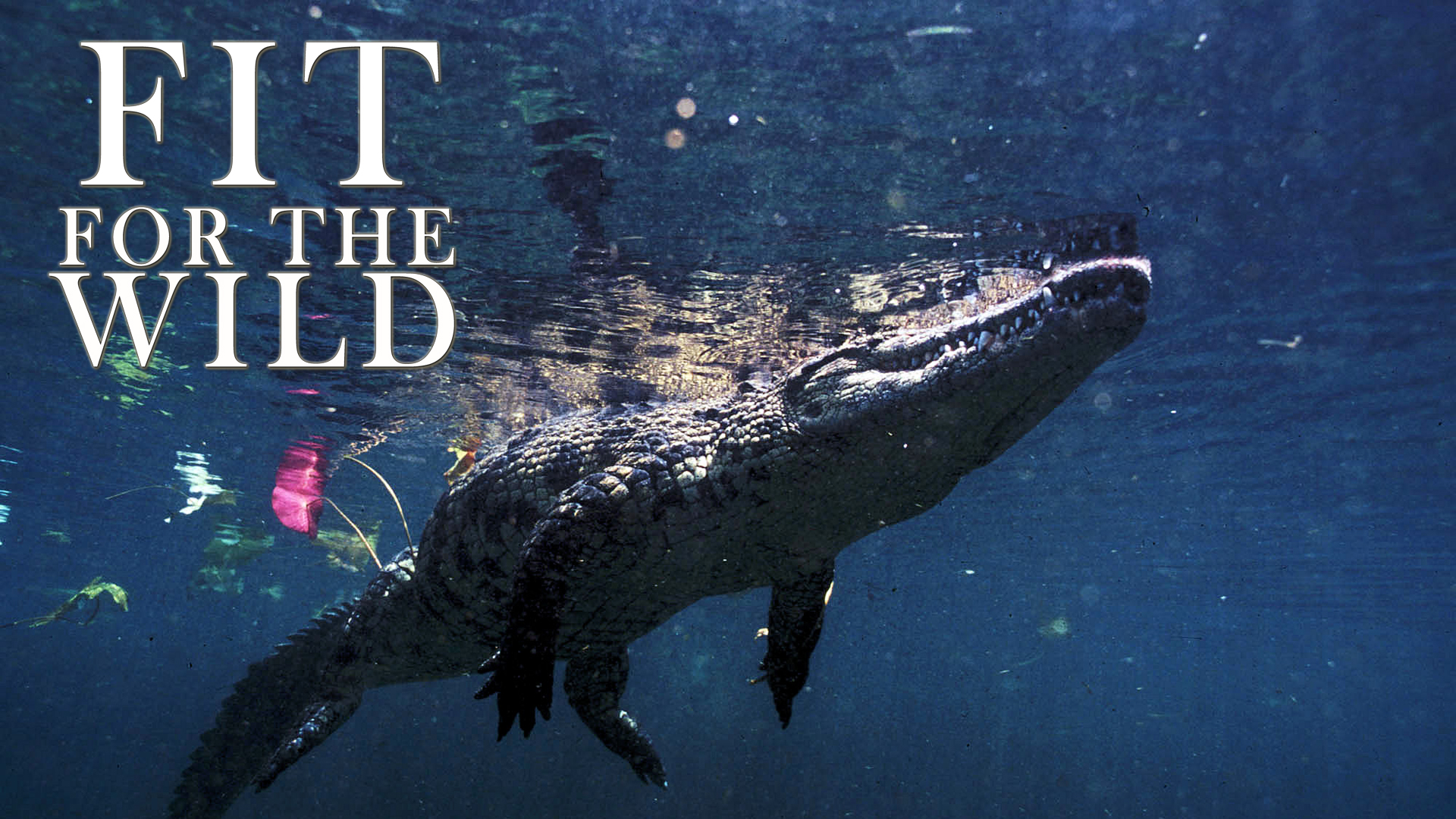 FFW11 - Adapted to the Estuaries