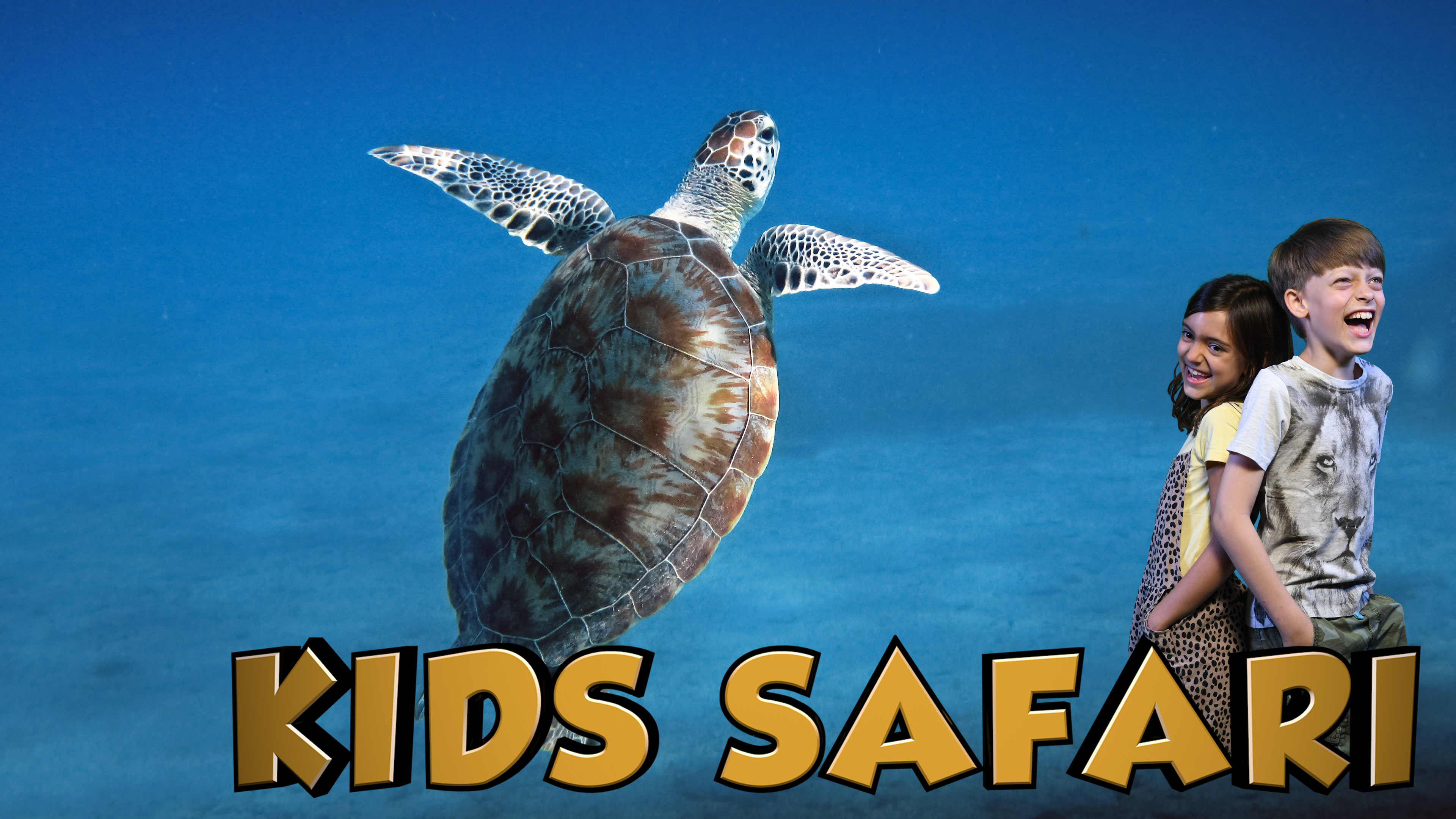 SEYCHELLES KIDS SAFARI - SNORKLING