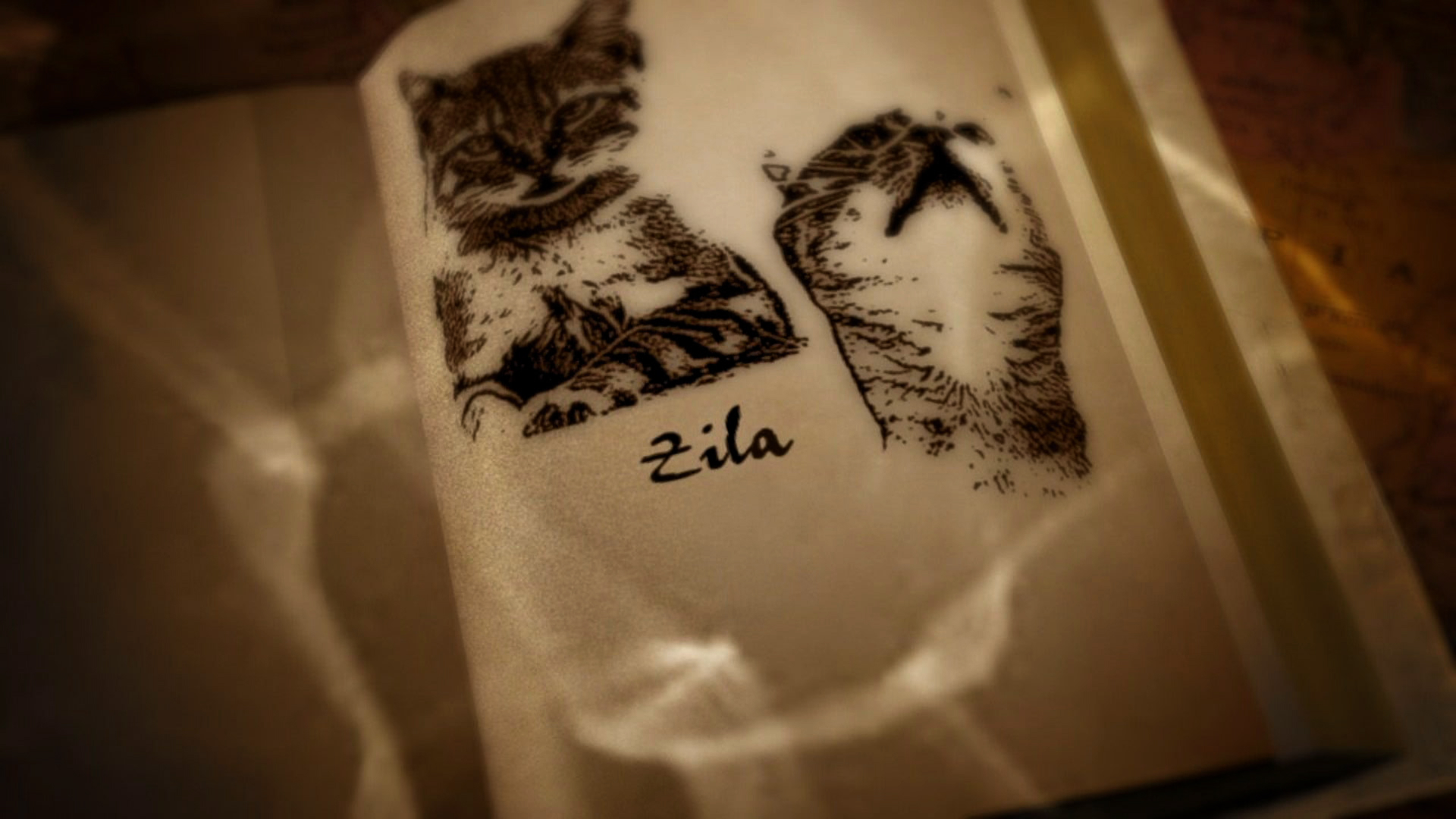 SCOJ1 - Home Today, Gone Tomorrow