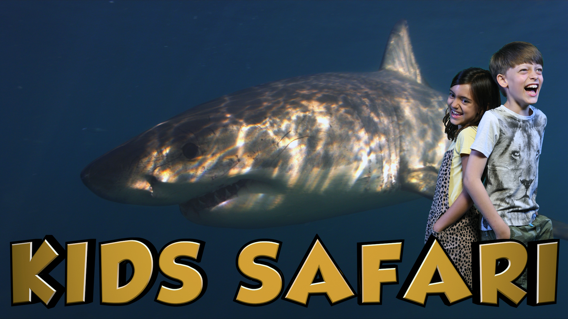 OCEAN KIDS SAFARI - GREAT WHITE SHARKS