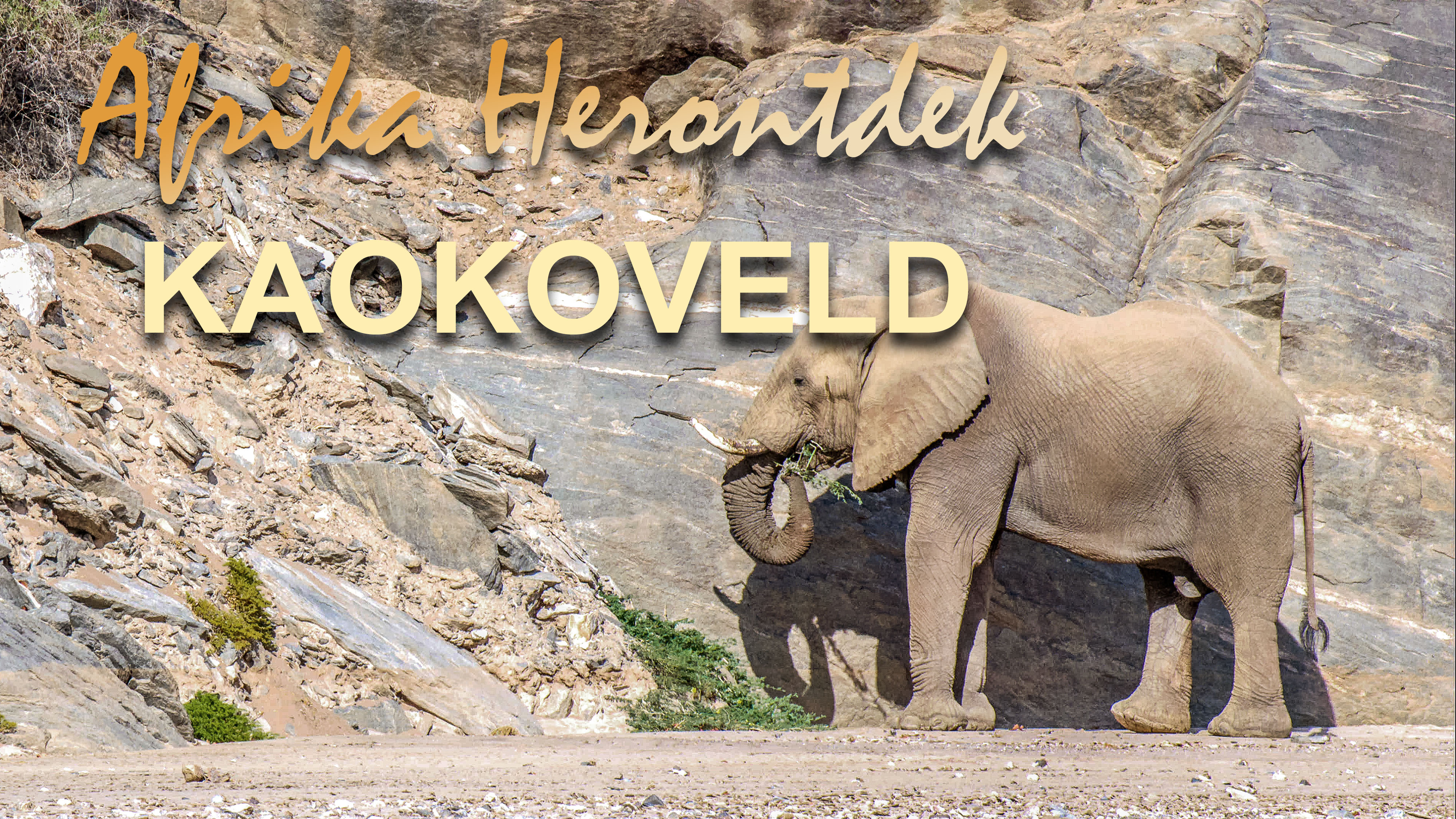 AH05 - Die Kaokoveld, Duik in Mazambique en die Kapama wildresevaat.