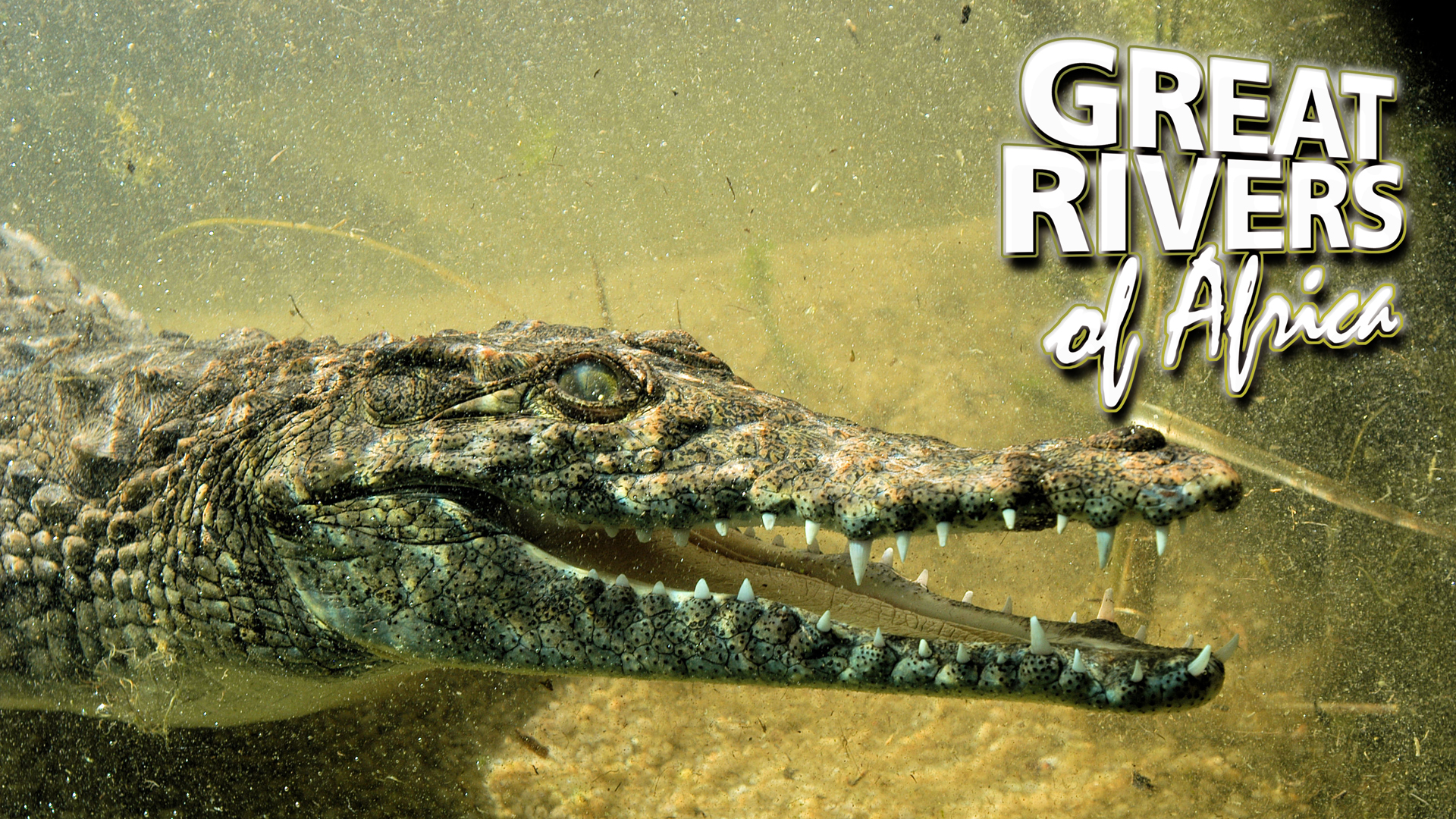 GROA09 - Limpopo river of giants