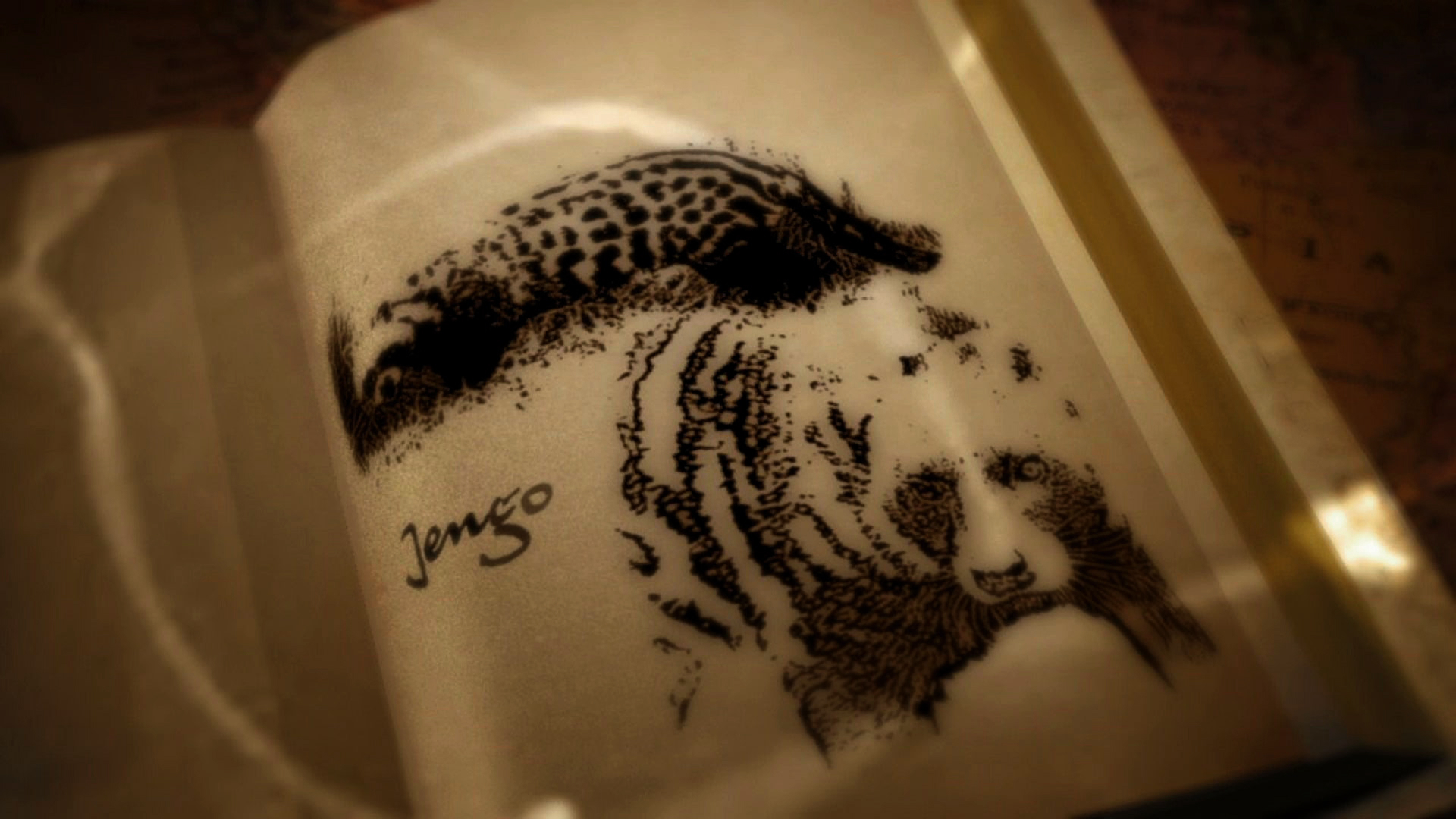 SCOJ3 - Nosy Neighbors