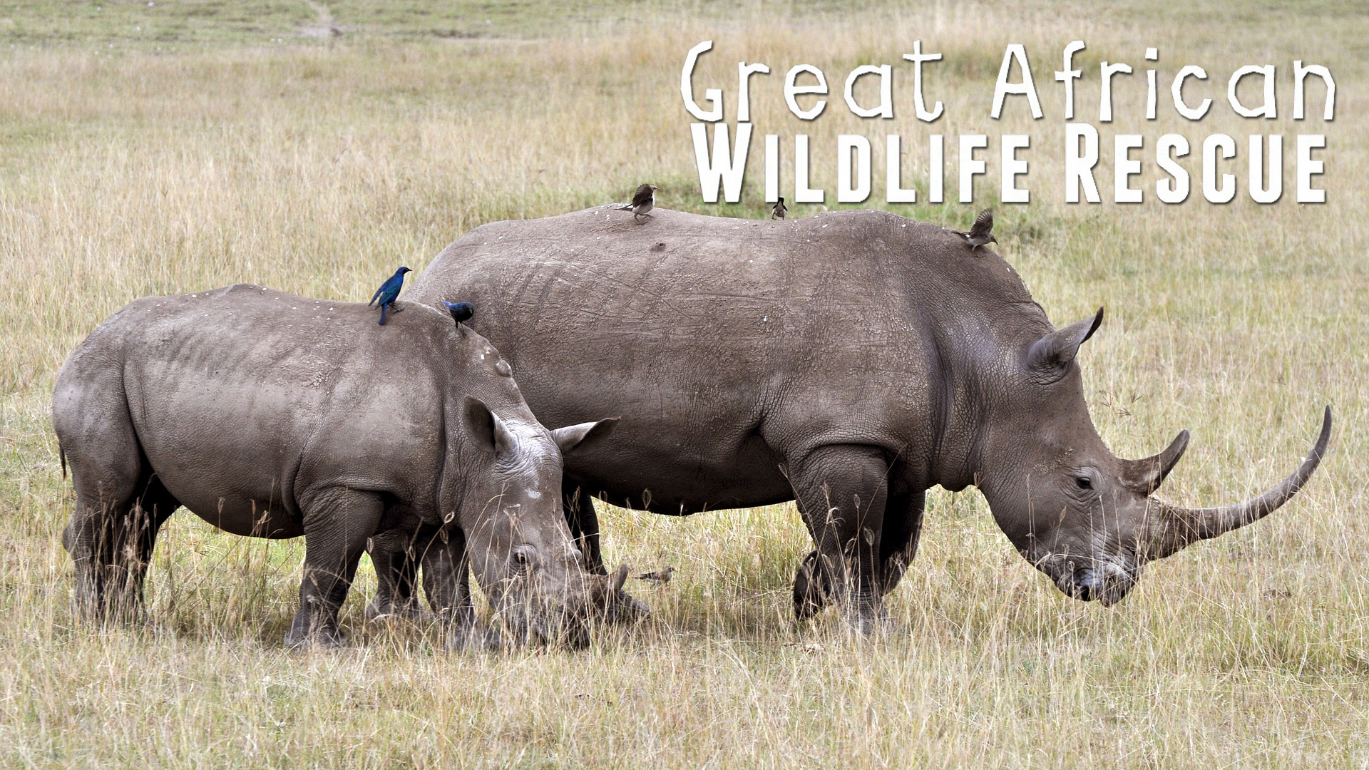 GAWR01 - Experience of a Lifetime