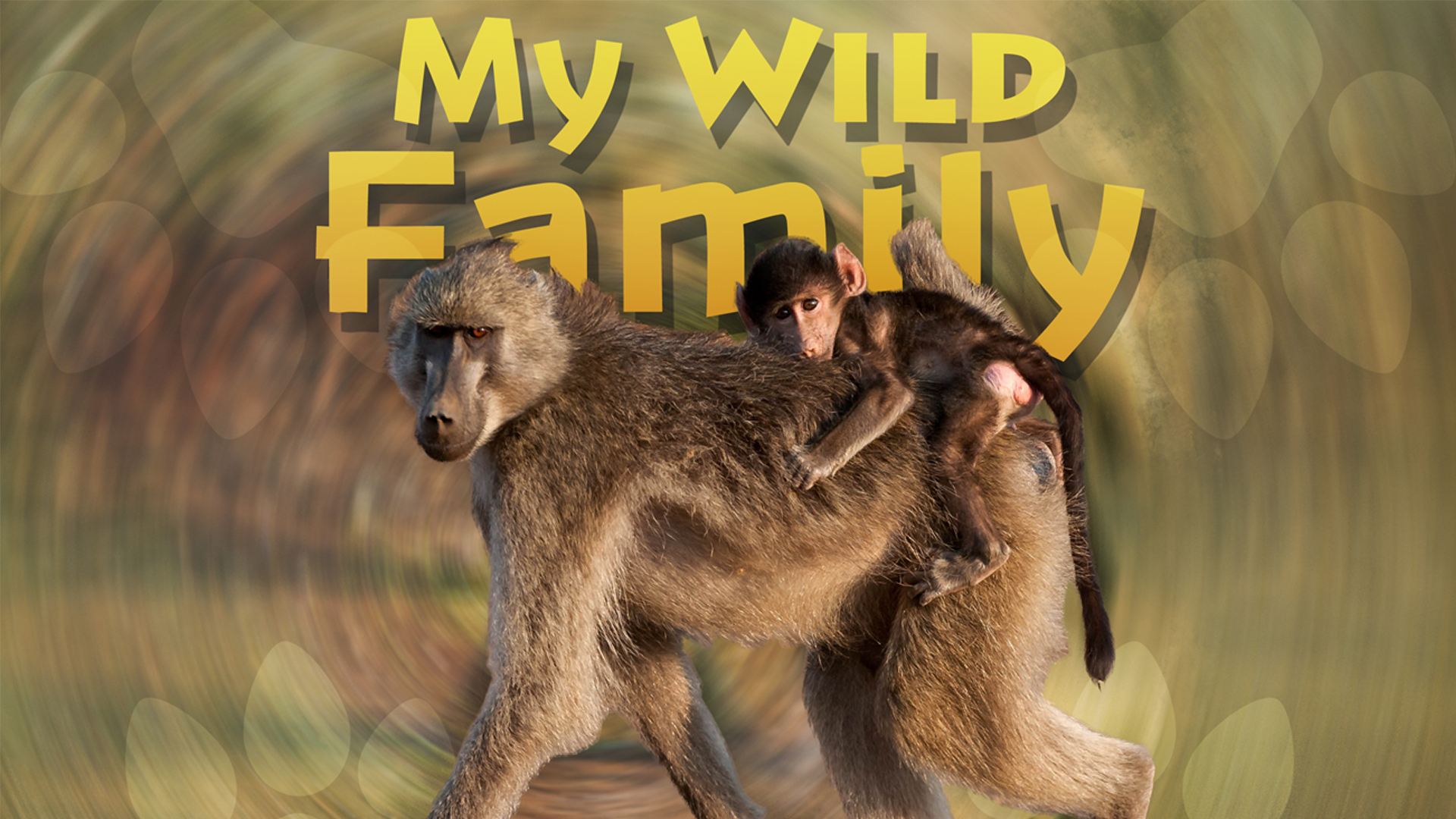 MWF109 - Baby Baboon