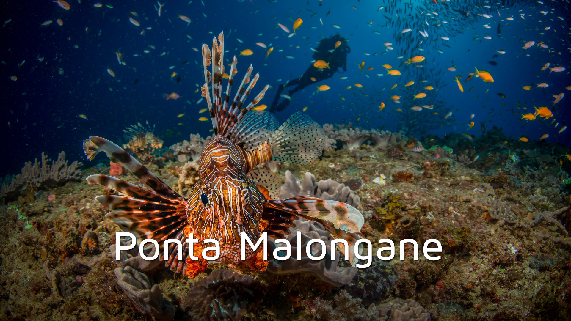 DA07 - Ponta Malongane