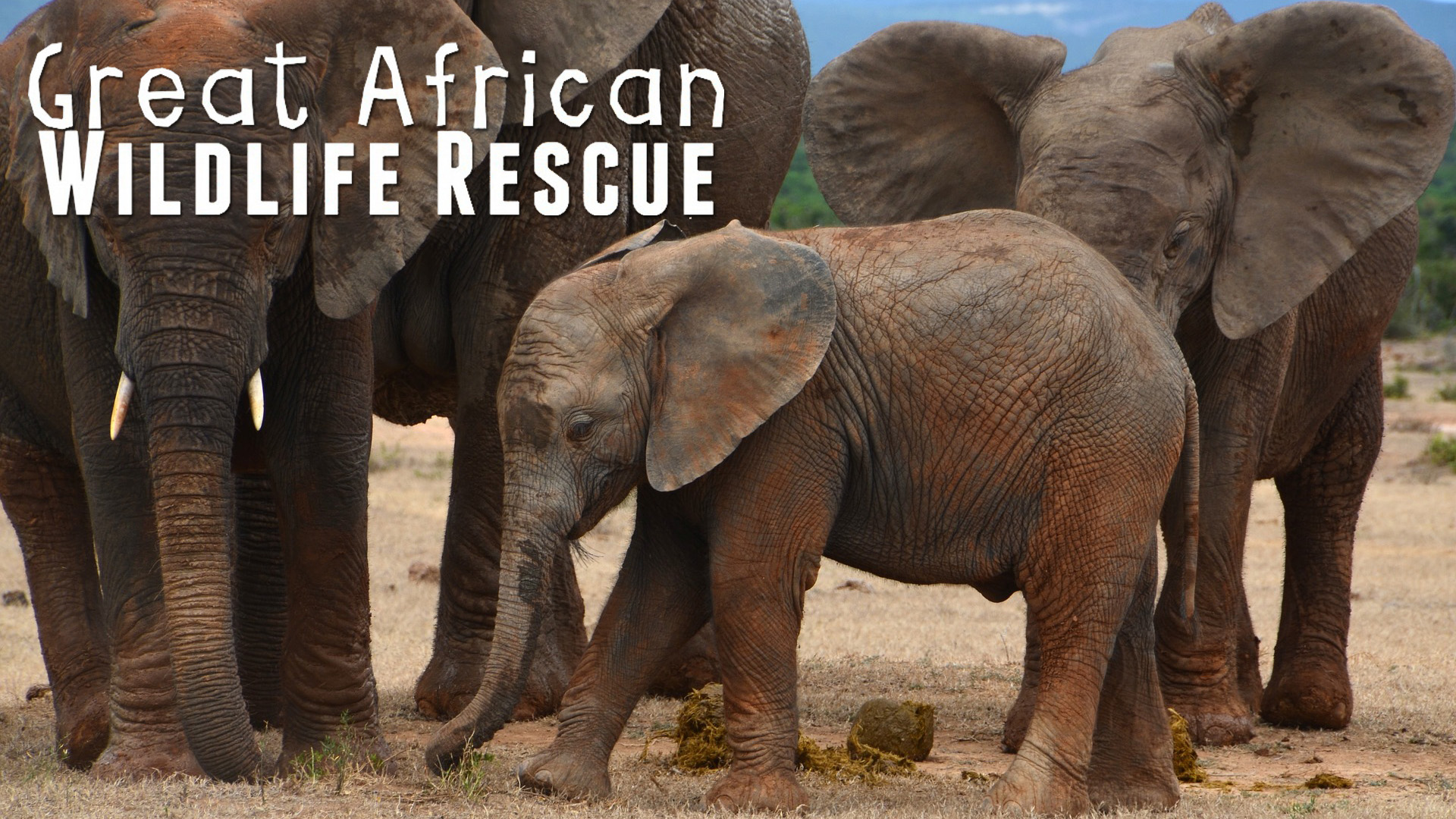 GAWR11 - A Family Affair