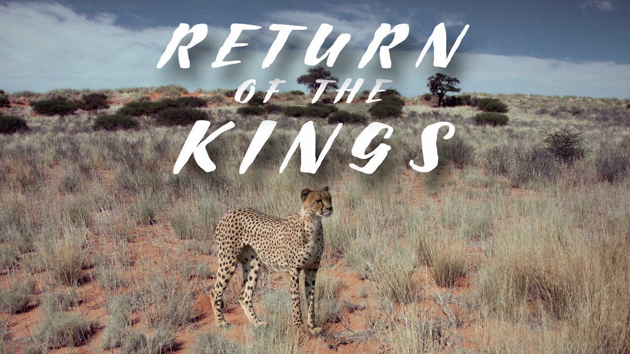 The Return of the Kings