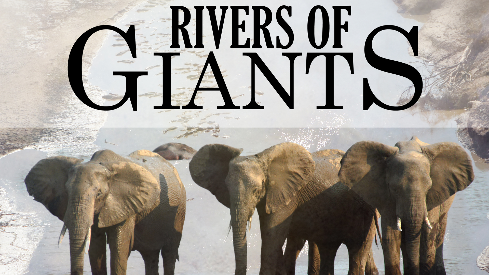 Rivers of Giants