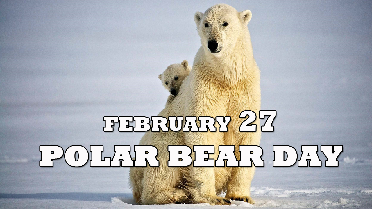 International Polar Bear Day