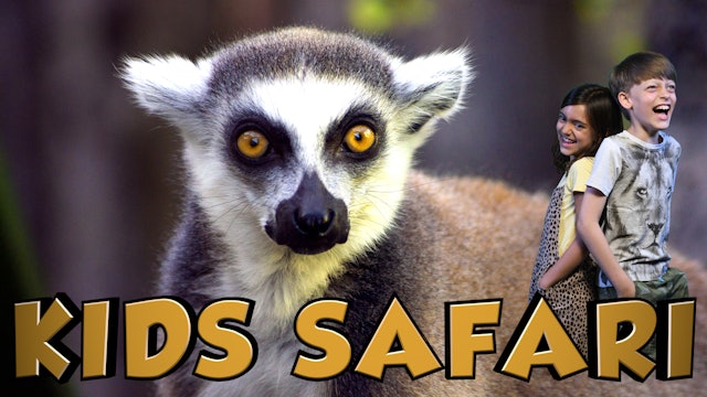 Kids Safari Madagascar