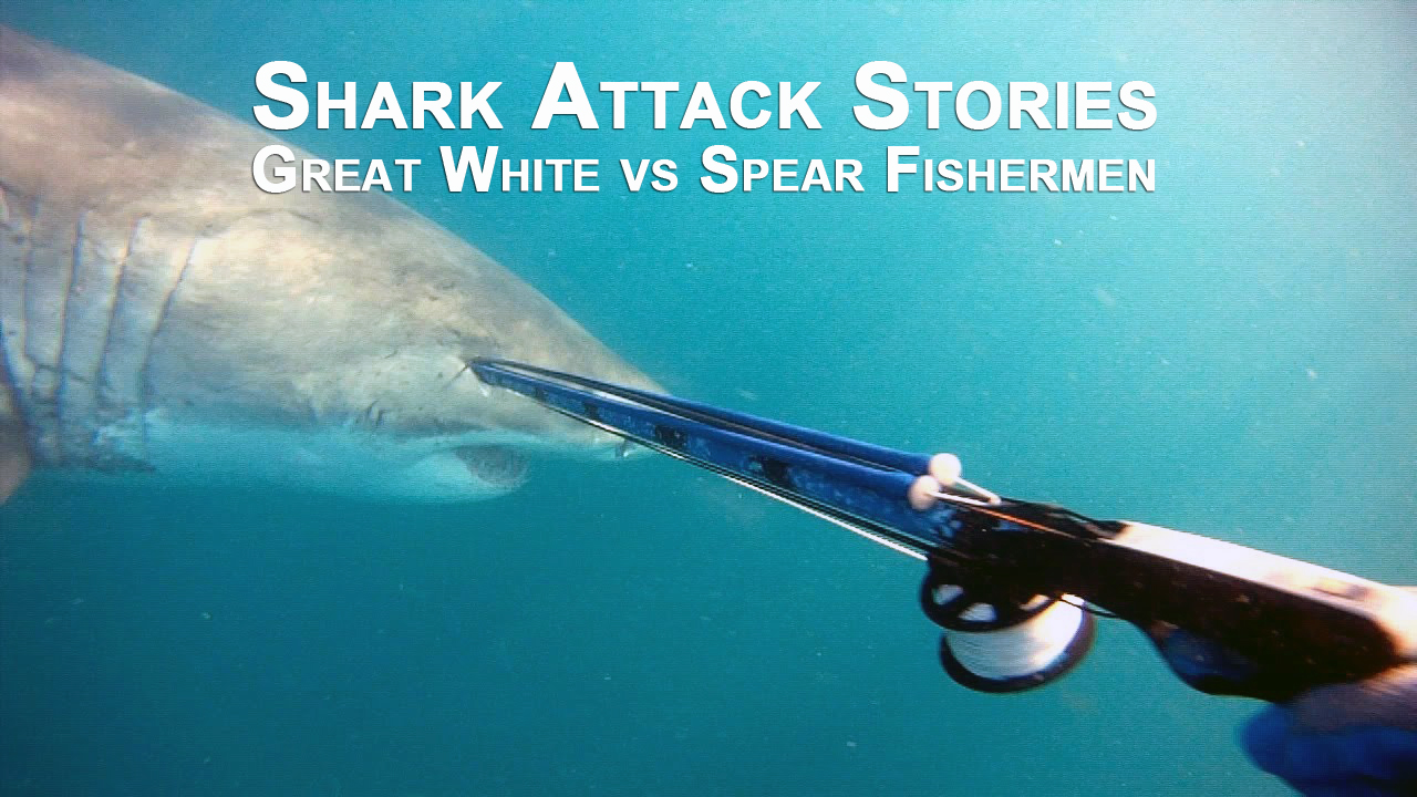 Spear Fishermen Gets attack by Great White Shark.