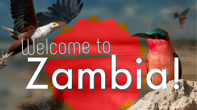 Welcome to Zambia!