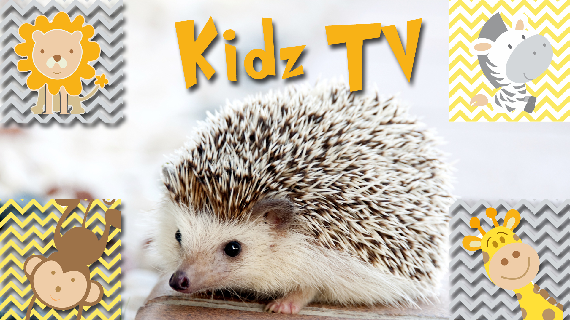 Kidz TV
