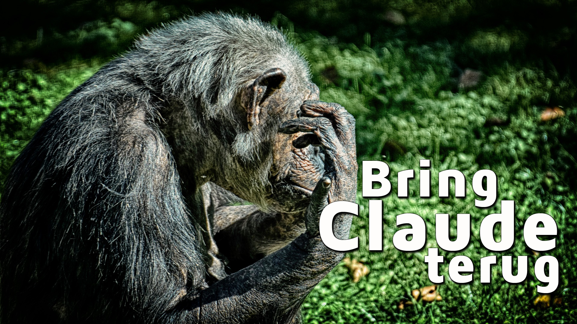 BAR - Bring Claude Terug.